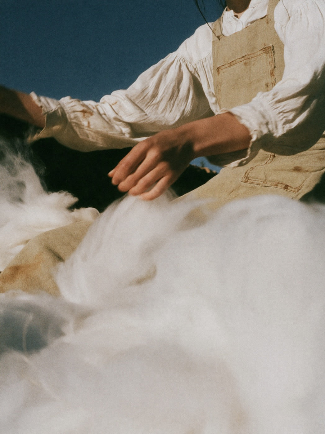 Cashmere fibres being gently collected by hand