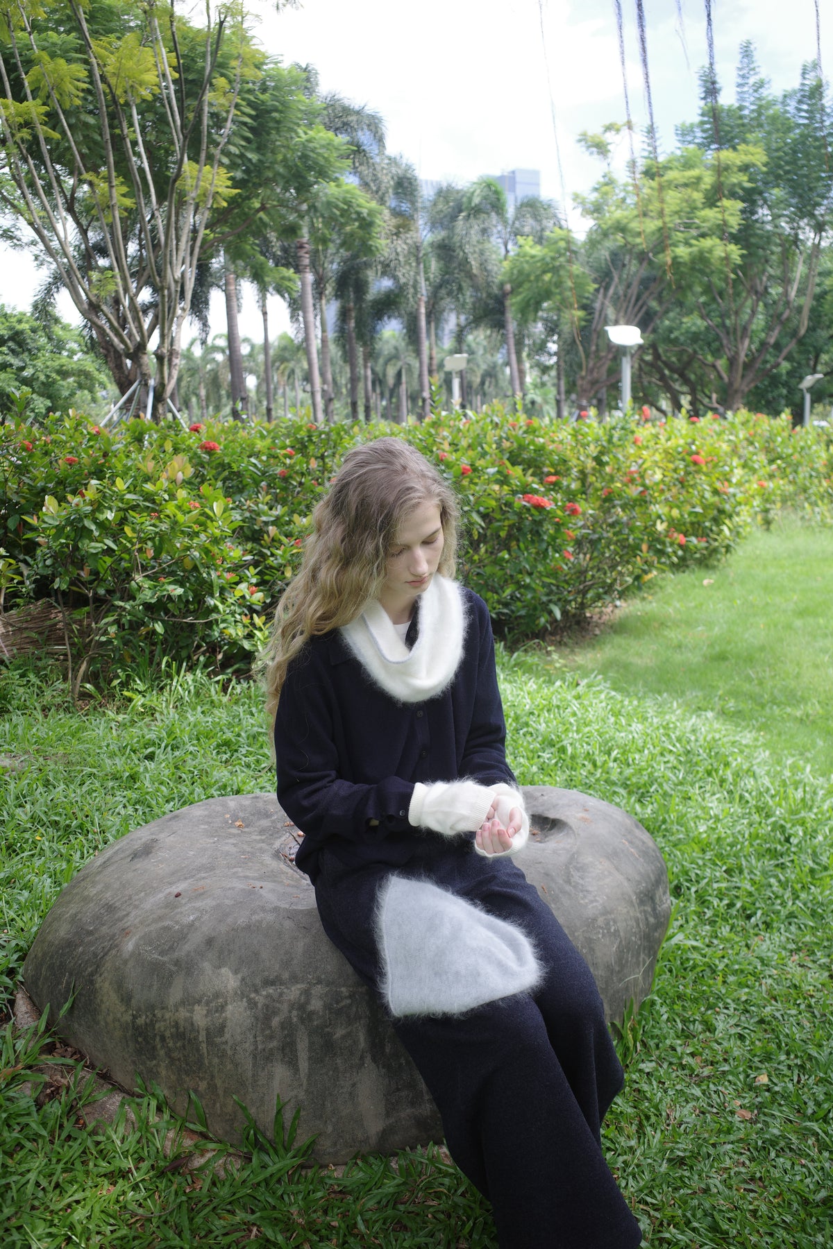 A Day in the Park